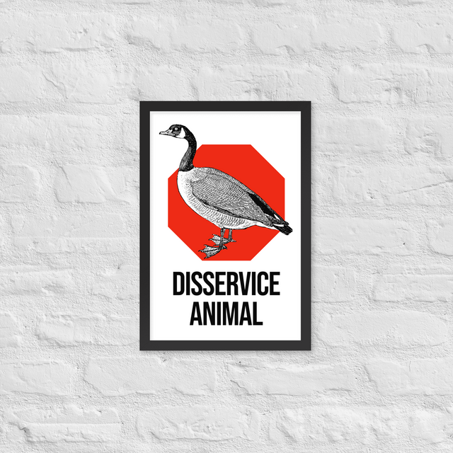 Disservice Animal Framed Poster