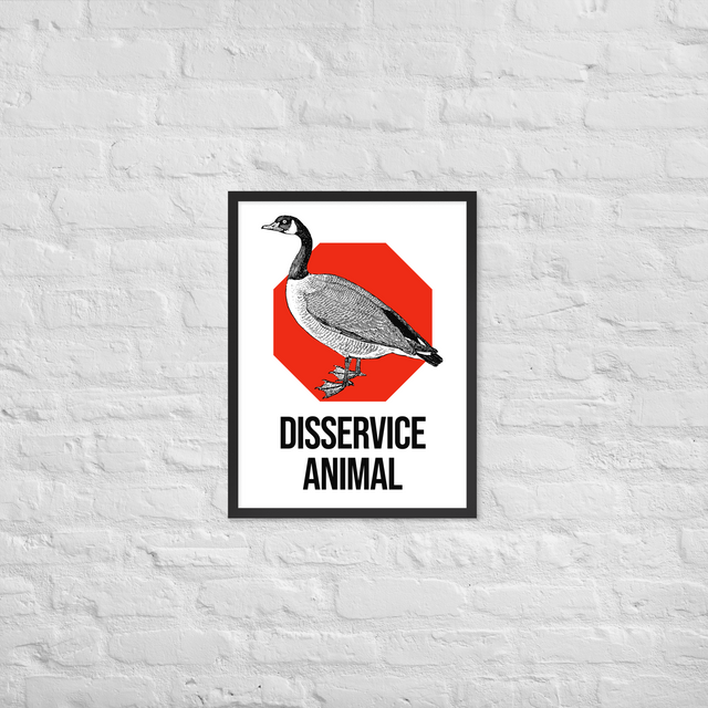 Disservice Animal Framed Poster