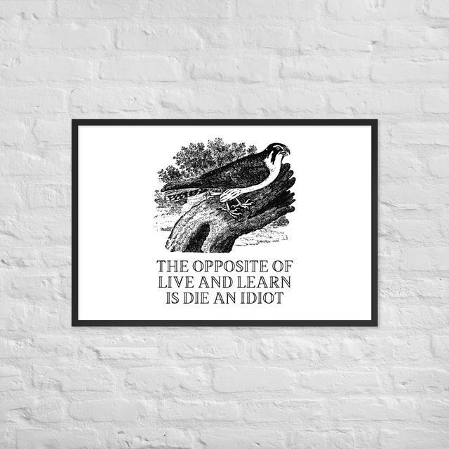 The Opposite Of Live And Learn Is Die An Idiot Framed Poster