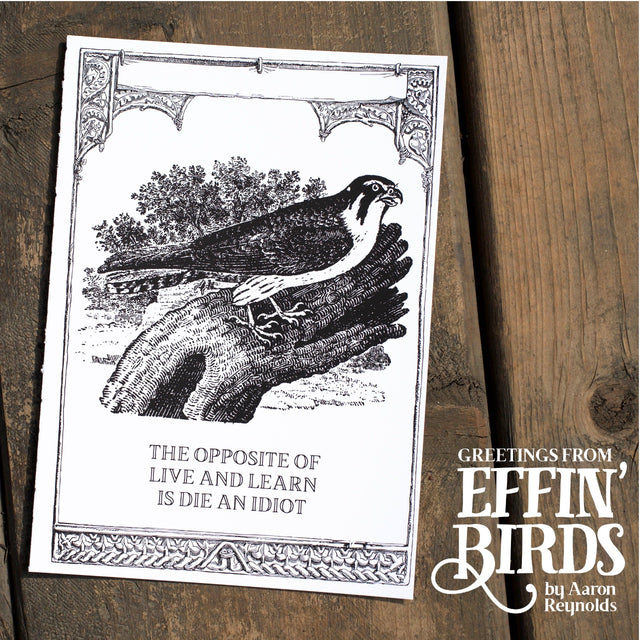Greetings From Effin' Birds: 100 Tear-Out Postcards
