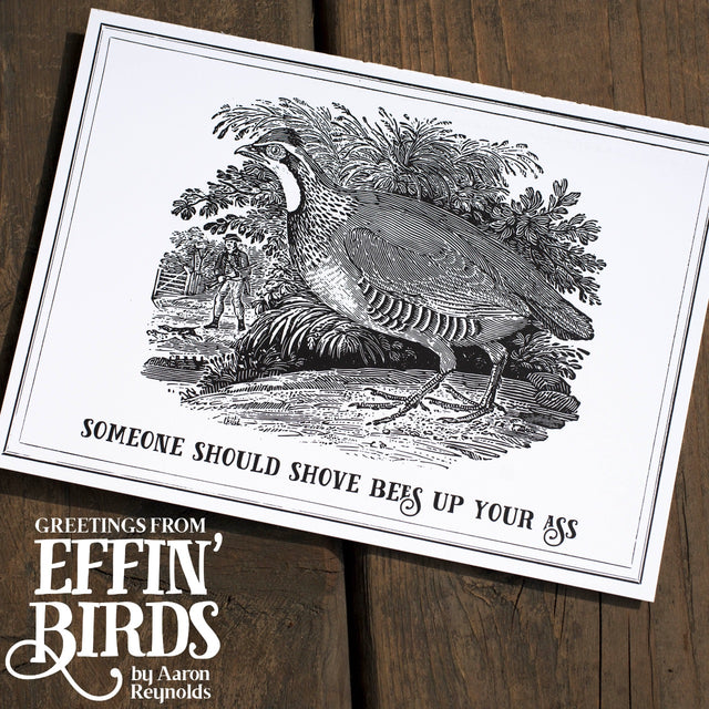 Greetings From Effin' Birds: 100 Tear-Out Postcards
