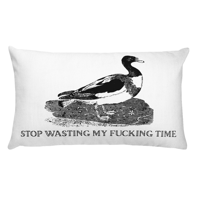Wasting My Time Pillow