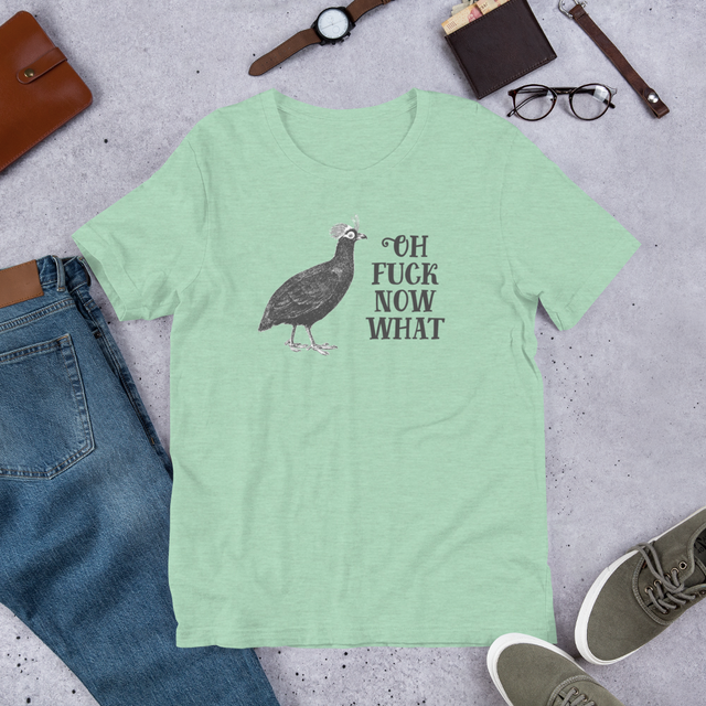 Oh Fuck Now What T-Shirt