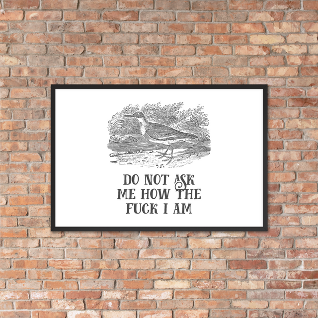 Do Not Ask Me How The Fuck I Am Framed Poster