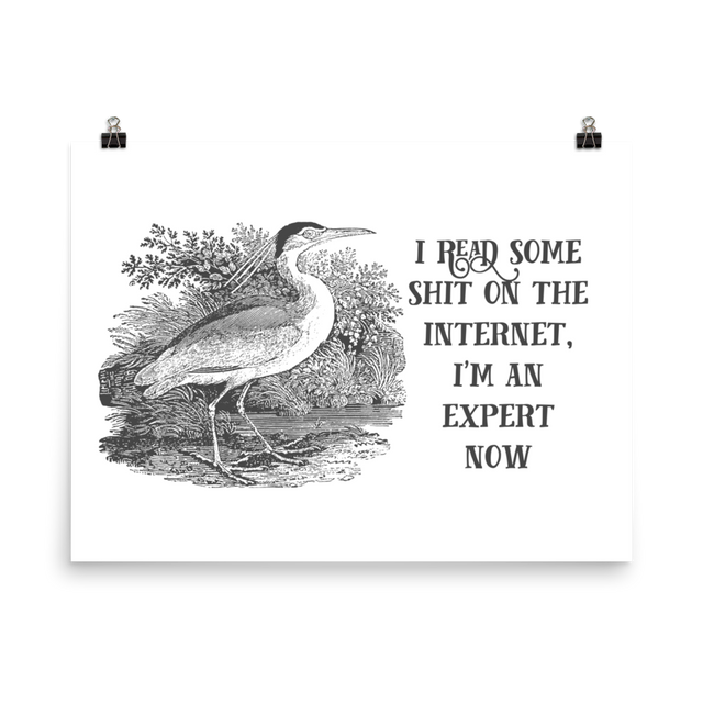 I Read Some Shit On The Internet, I'm An Expert Now Poster