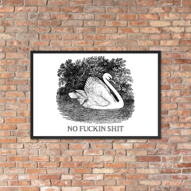 No Shit Framed Poster